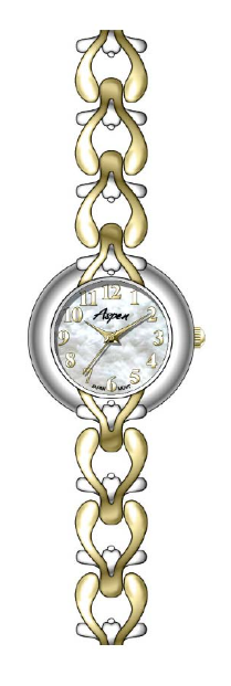 Montre Aspen AP2017-L